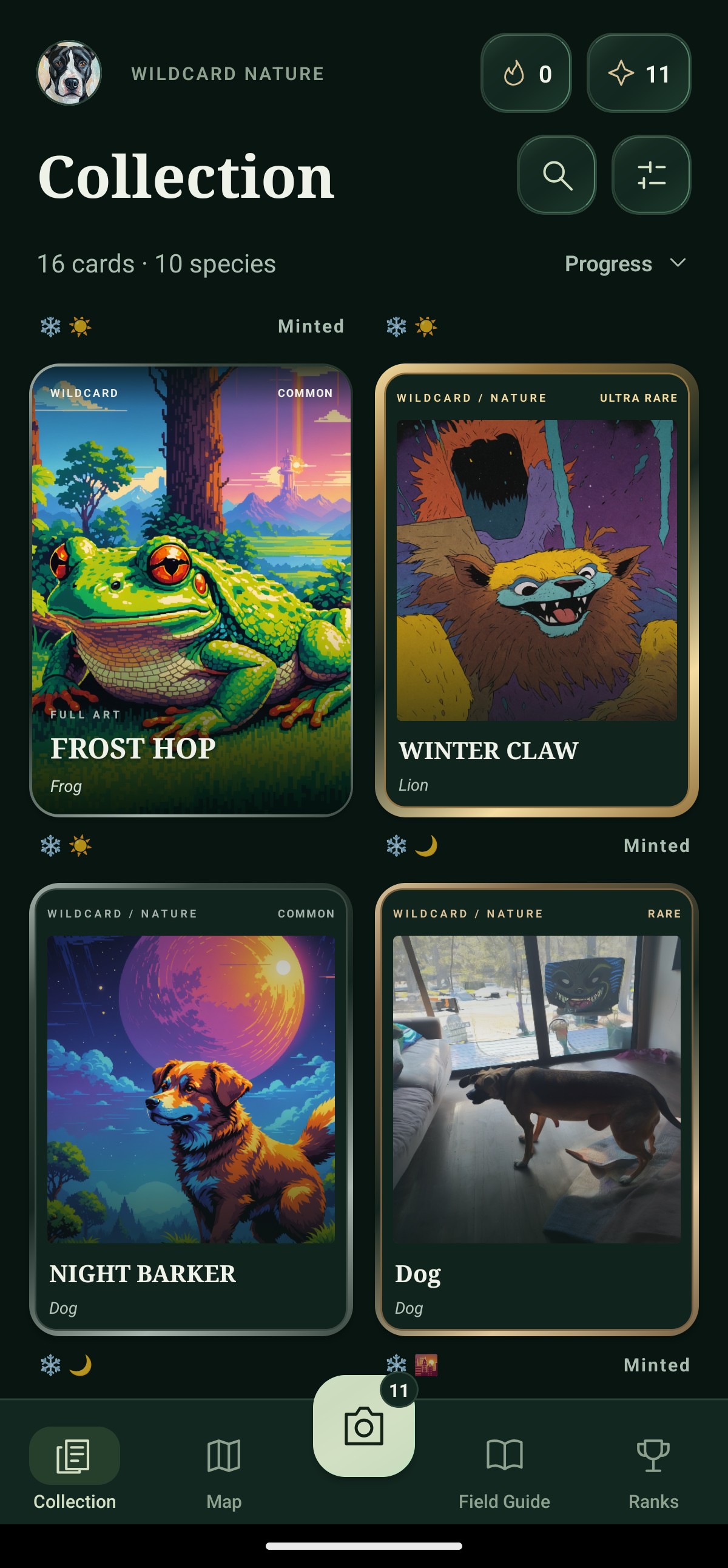 WildCard Nature collection with different card styles and rarities