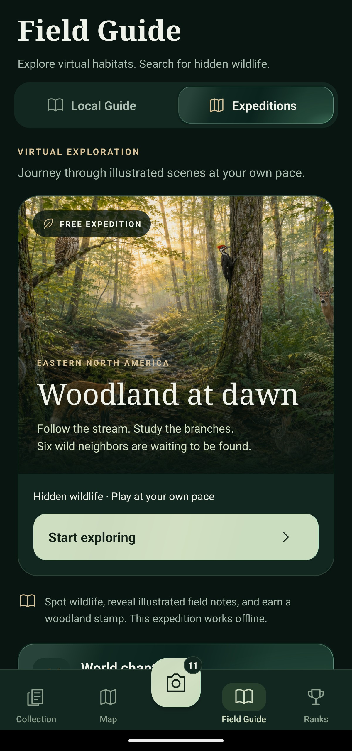 Field Guide showing the Woodland at dawn expedition