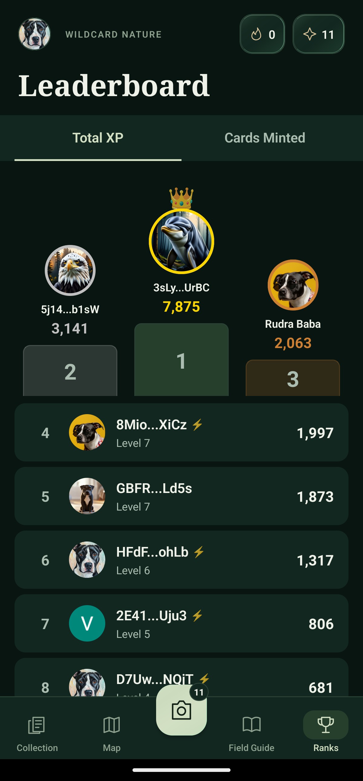 Leaderboard with Total XP and Cards Minted rankings